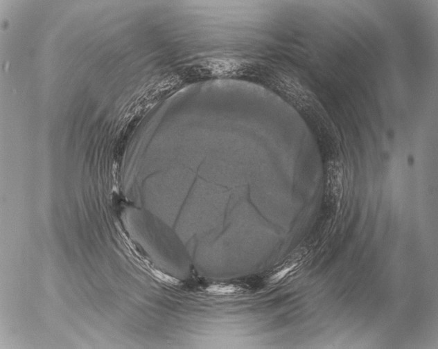X0000052630650200507292241