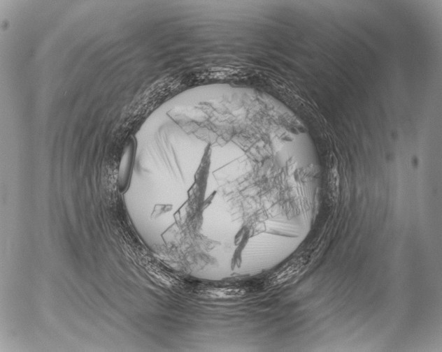 X0000052630657200507292241