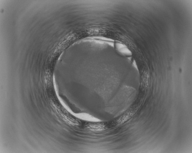 X0000052630659200507292241
