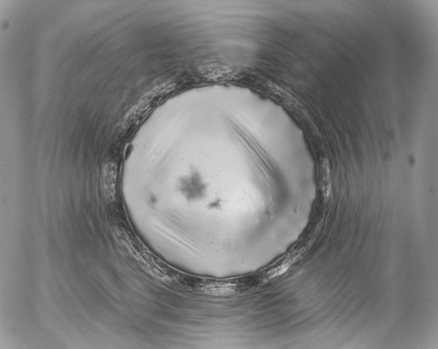 X0000052630664200507292241