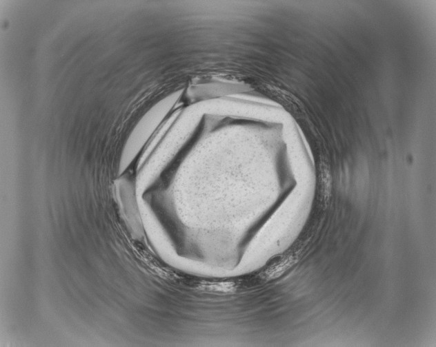 X0000052630665200507292241