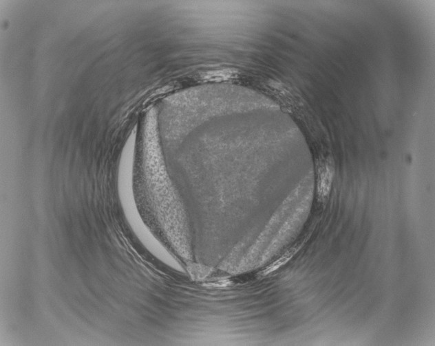 X0000052630666200507292241