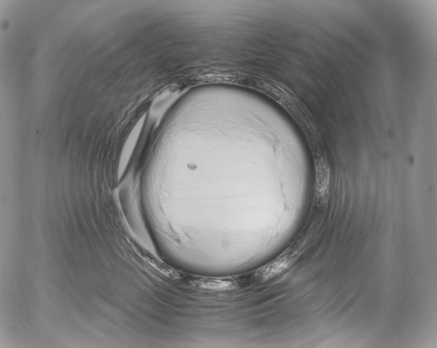 X0000052630669200507292241