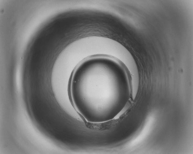 X0000052630671200507292241