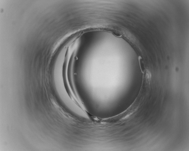 X0000052630676200507292241