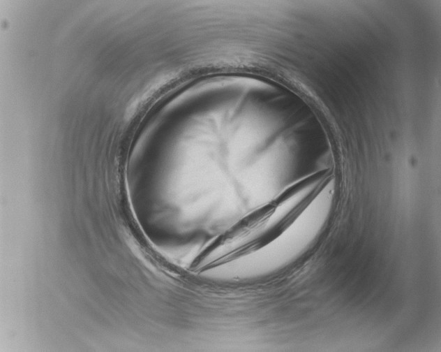 X0000052630677200507292241
