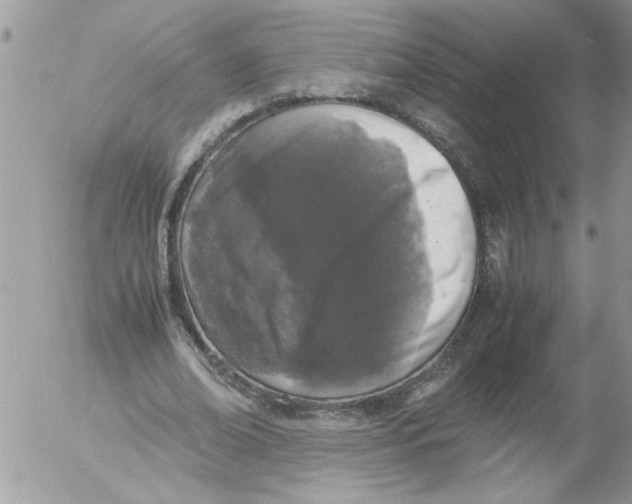 X0000052630678200507292241