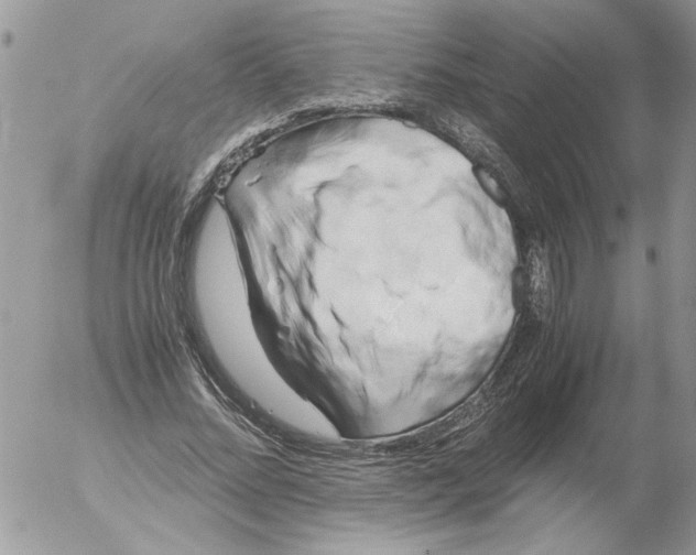 X0000052630684200507292240