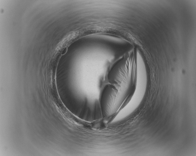 X0000052630685200507292240