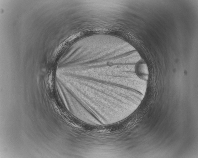 X0000052630689200507292240