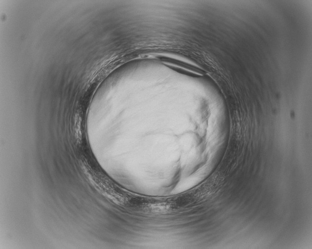 X0000052630692200507292240