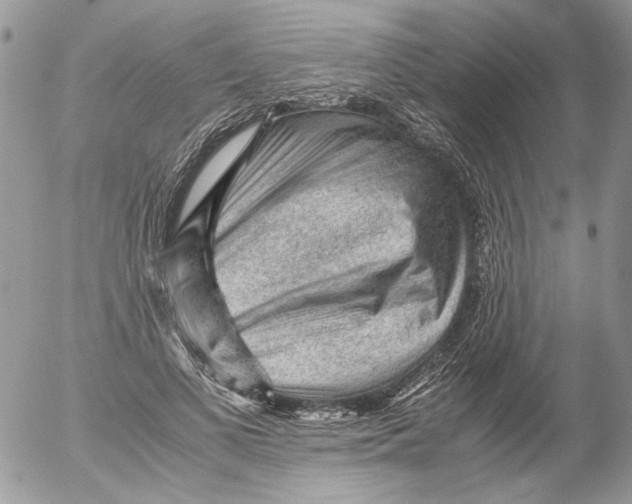 X0000052630693200507292240