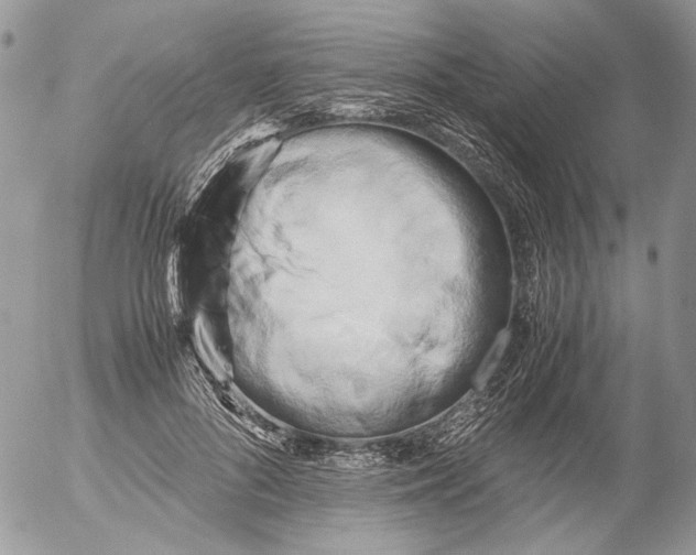X0000052630696200507292240