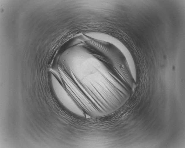 X0000052630697200507292240