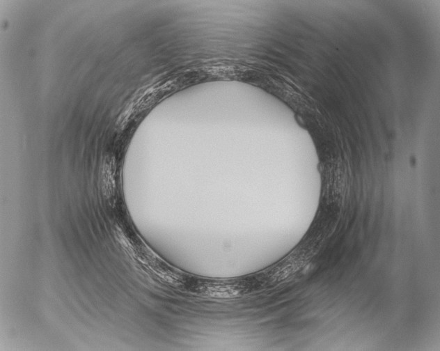 X0000052630702200507292240