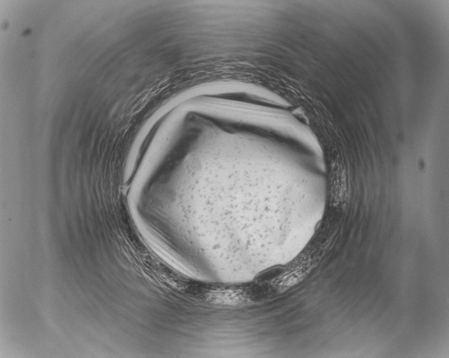 X0000052630704200507292240