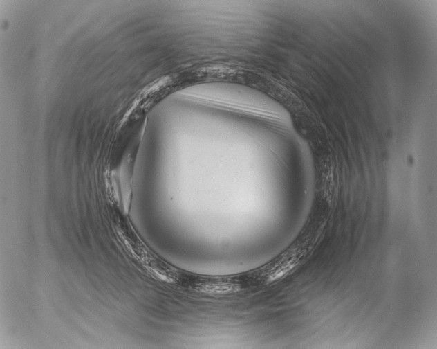 X0000052630708200507292240