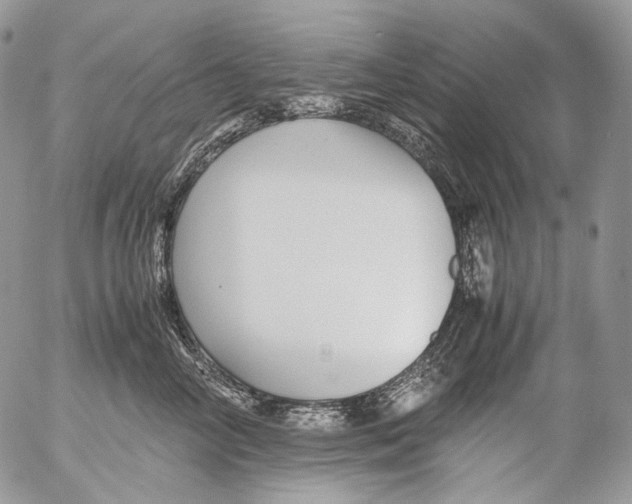 X0000052630714200507292240