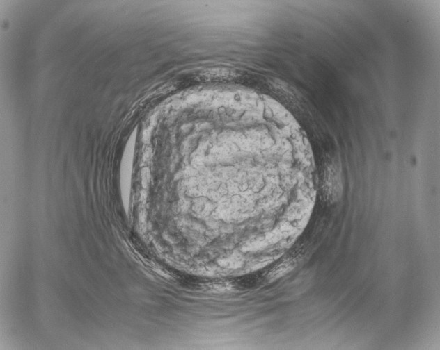 X0000052630715200507292240