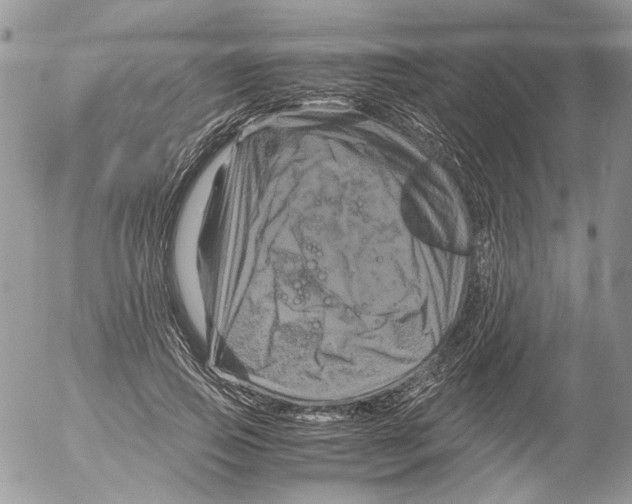 X0000052630741200507292239