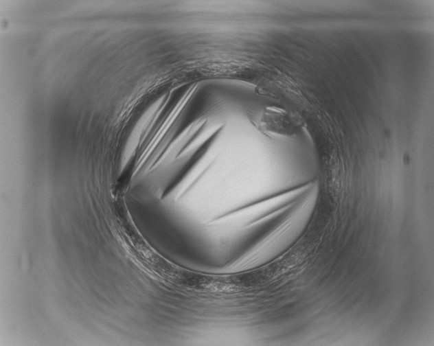 X0000052630742200507292239