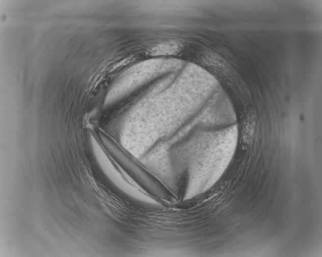 X0000052630743200507292239
