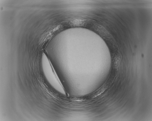 X0000052630746200507292239