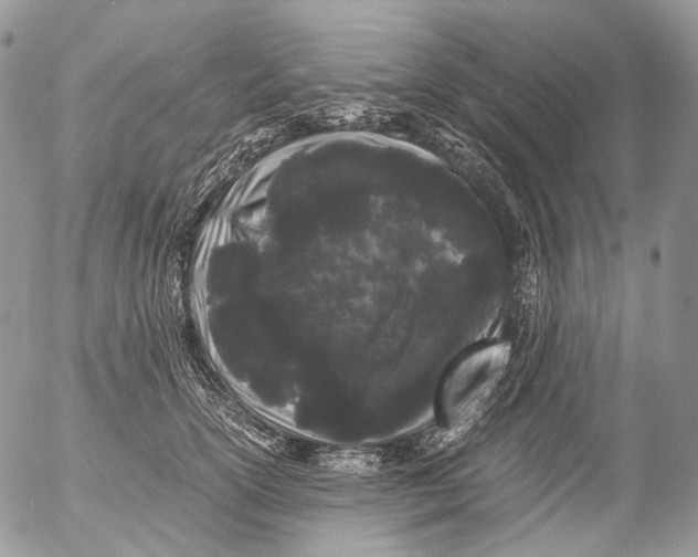 X0000052630754200507292240