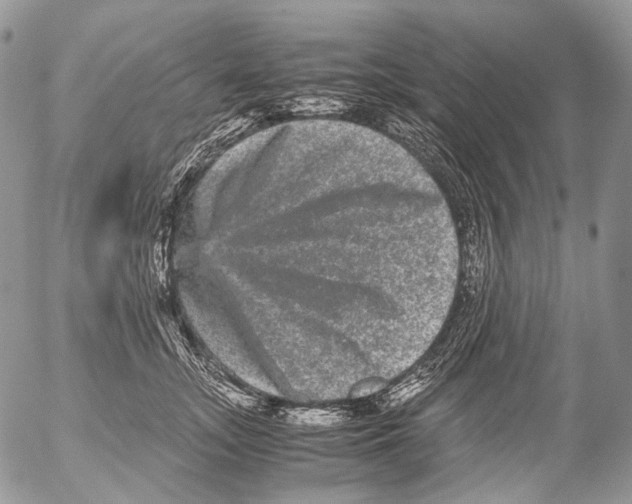 X0000052630755200507292240