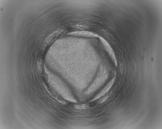 X0000052630757200507292240