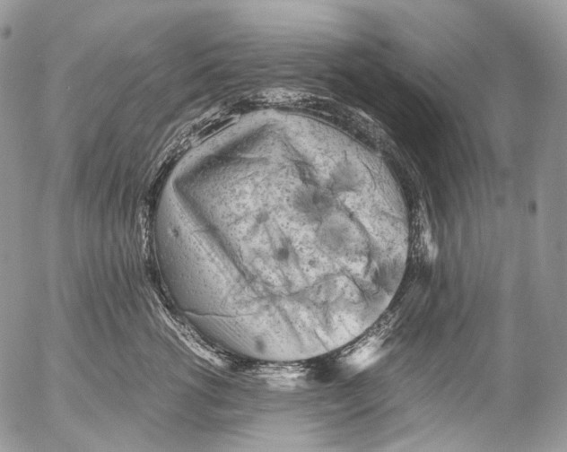 X0000052630762200507292240