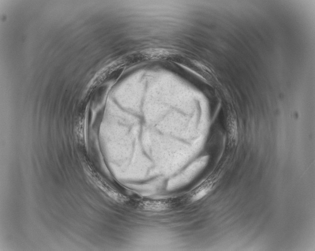 X0000052630766200507292240