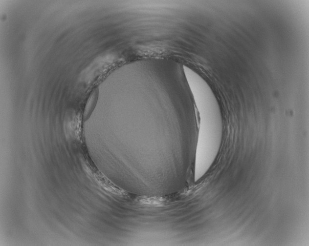 X0000052630767200507292240