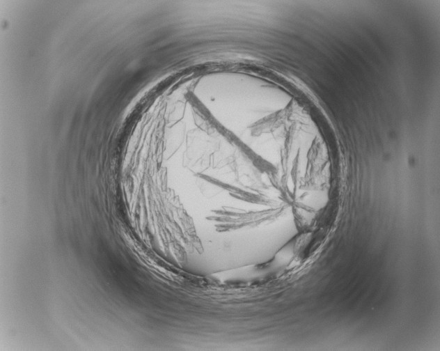 X0000052630783200507292239