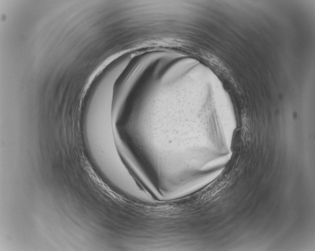 X0000052630784200507292239