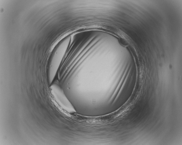 X0000052630789200507292239