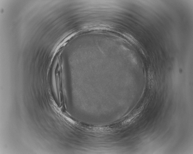 X0000052630790200507292239