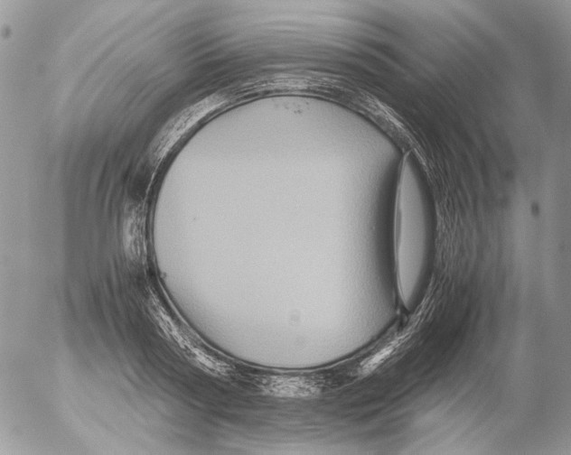 X0000052630794200507292239