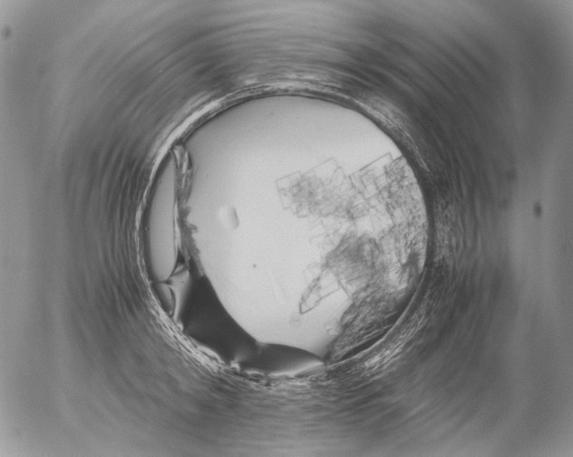X0000052630798200507292239