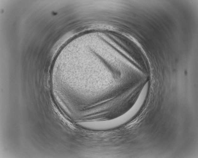 X0000052630799200507292239