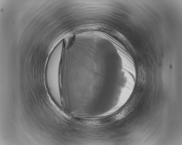 X0000052630802200507292238
