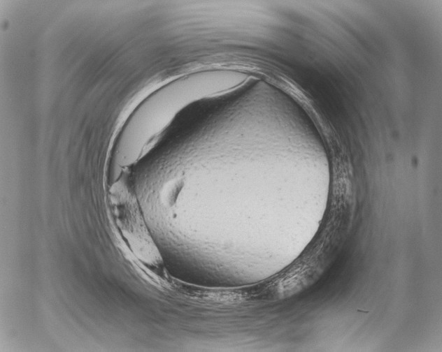 X0000052630803200507292238