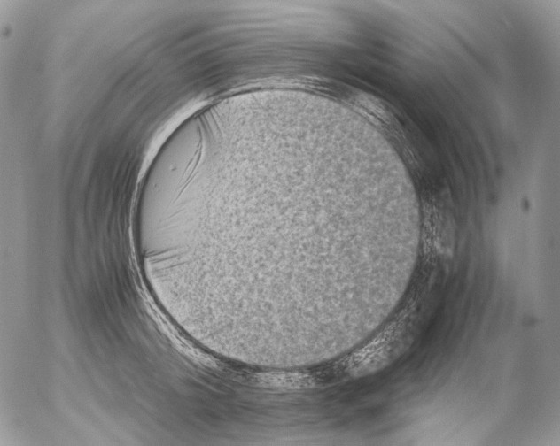 X0000052630804200507292238