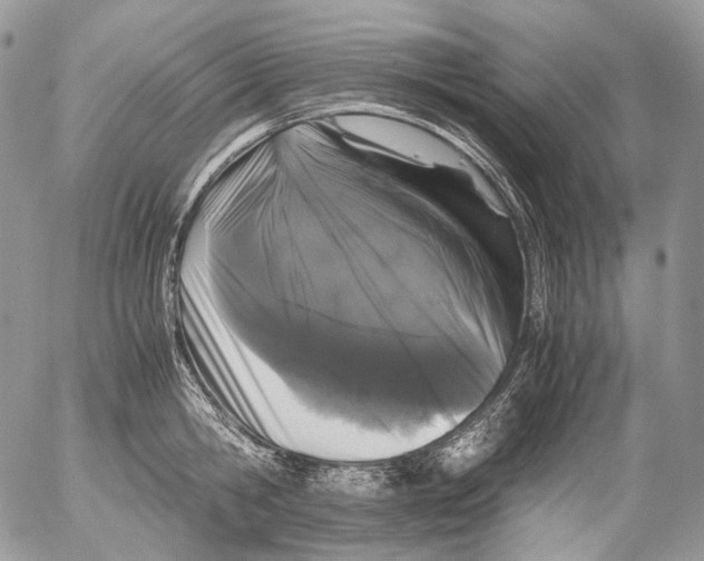 X0000052630806200507292238
