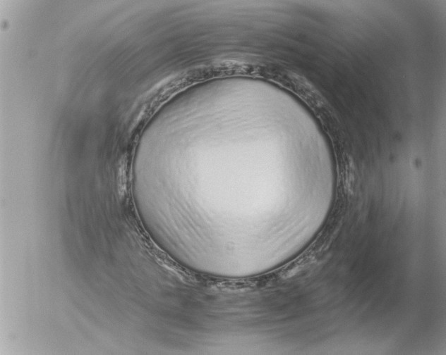 X0000052630821200507292238