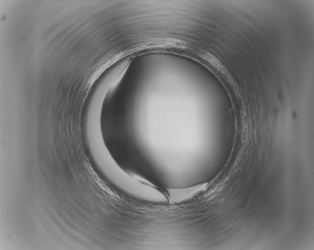 X0000052630834200507292238