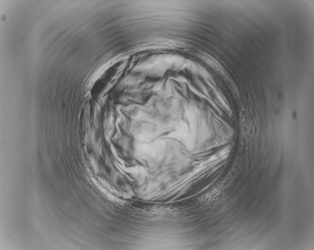 X0000052630842200507292238