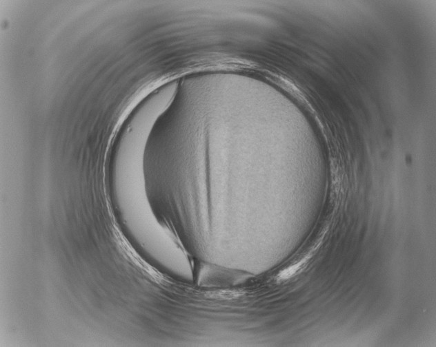 X0000052630843200507292238