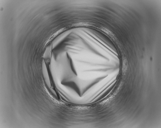 X0000052630849200507292238