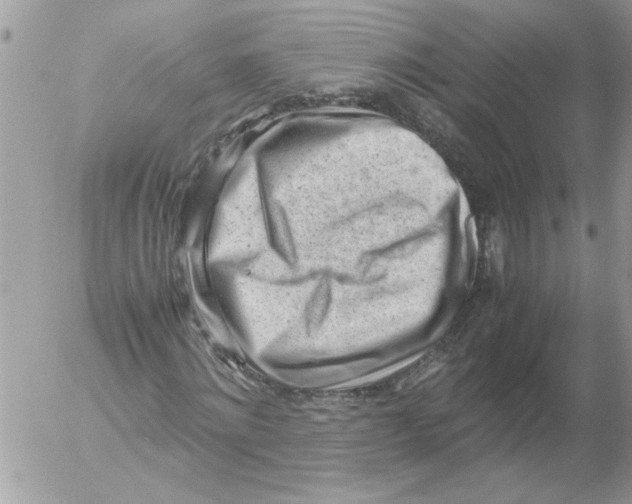 X0000052630868200507292237